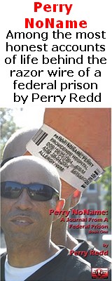 Perry NoName: A Journal From A Federal Prison-book 1