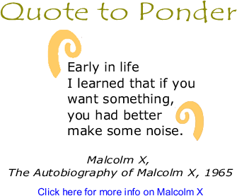 Early in life I learned that if you want something, you had better make some noise. - Malcolm X, The Autobiography of Malcolm X, 1965
