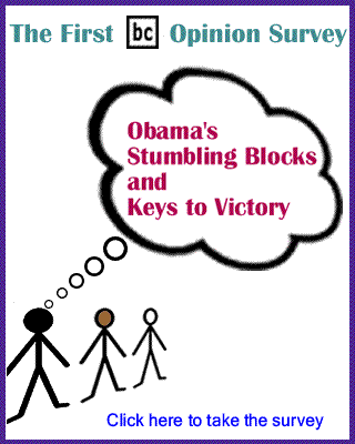 The First BlackCommentator.com Opinion Survey - Obama's Stumbling Blocks and Keys to Victory - You are invited to take the survey