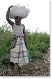 Adelaide Buque of the Bobole 1B Association in Marracuene in Maputo province.