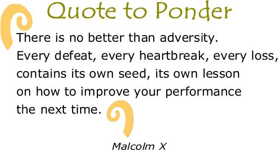 BlackCommentator.com: Quote to Ponder:  "There is no better than adversity. Every defeat, every heartbreak, every loss, contains its own seed, its own lesson on how to improve your performance the next time." - Malcolm X