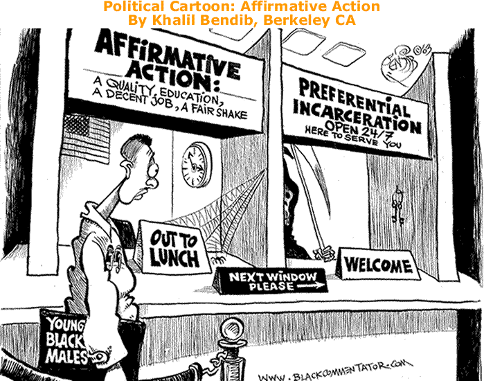 Image result for affirmative action cartoon