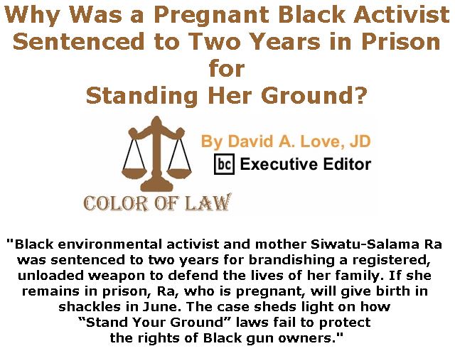BlackCommentator.com May 24, 2018 - Issue 743: Why Was a Pregnant Black Activist Sentenced to Two Years in Prison for Standing Her Ground? - Color of Law By David A. Love, JD, BC Executive Editor