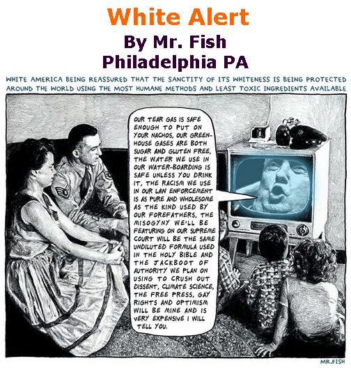 BlackCommentator.com December 06, 2018 - Issue 767: White Alert - Political Cartoon By Mr. Fish, Philadelphia PA