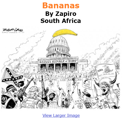 BlackCommentator.com Jan 14, 2021 - Issue 848: Bananas - Political Cartoon By Zapiro, South Africa