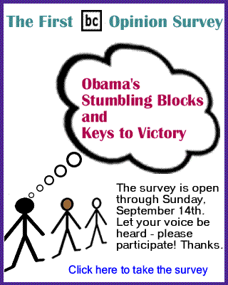 The First BlackCommentator.com Opinion Survey - Obama's Stumbling Blocks and Keys to Victory