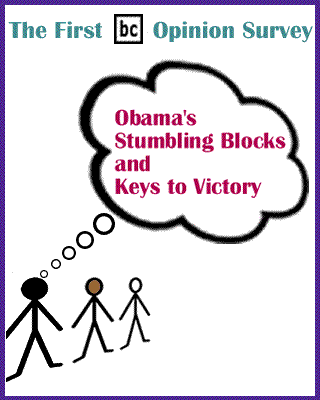 The First BlackCommentator.com Opinion Survey - Obama's Stumbling Blocks and Keys to Victory