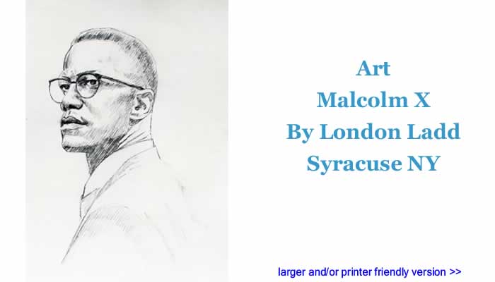 Art: Malcolm X By London Ladd, Syracuse NY