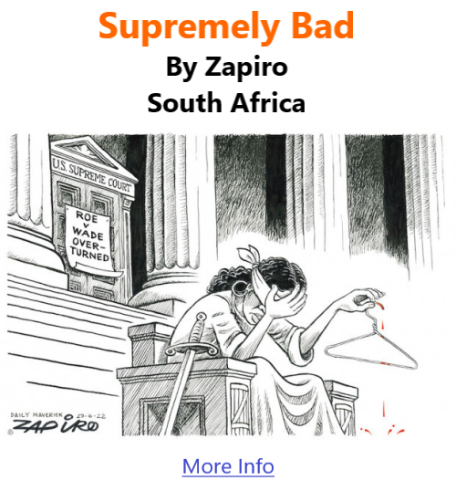 BlackCommentator.com July 7, 2022 - Issue 918: Supremely Bad - Political Cartoon By Zapiro, South Africa